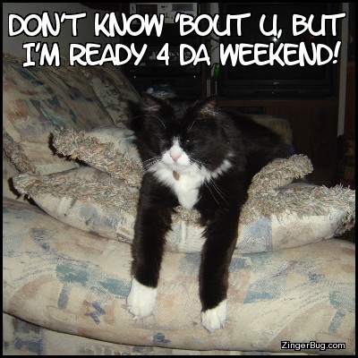 Funny Ready For The Weekend Quotes Click Here To Download This