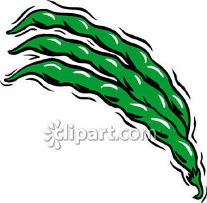Green Beans   Royalty Free Clipart Picture