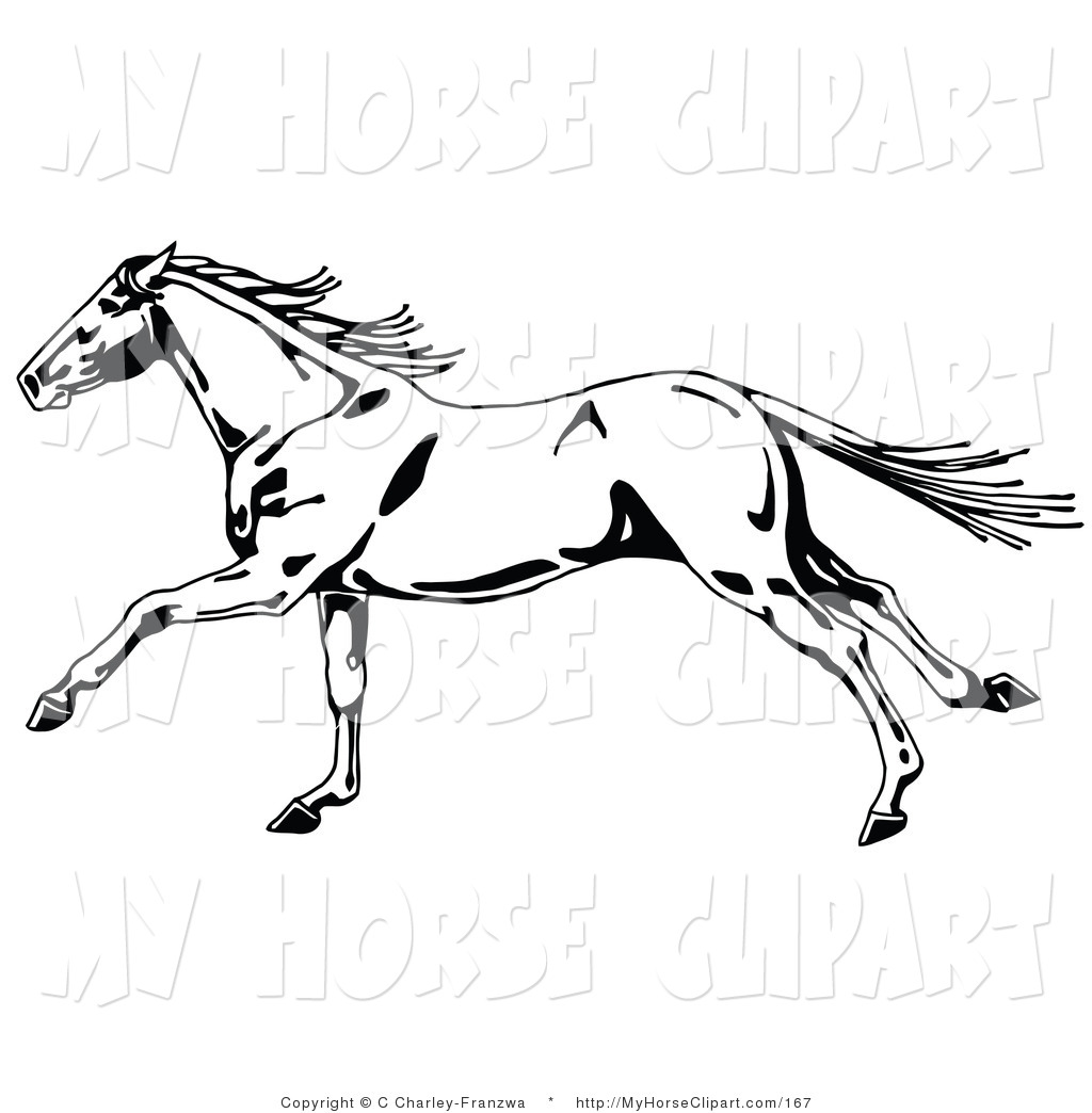 Larger Preview  Clip Art Of A Fast Black And White Wild Horse In    