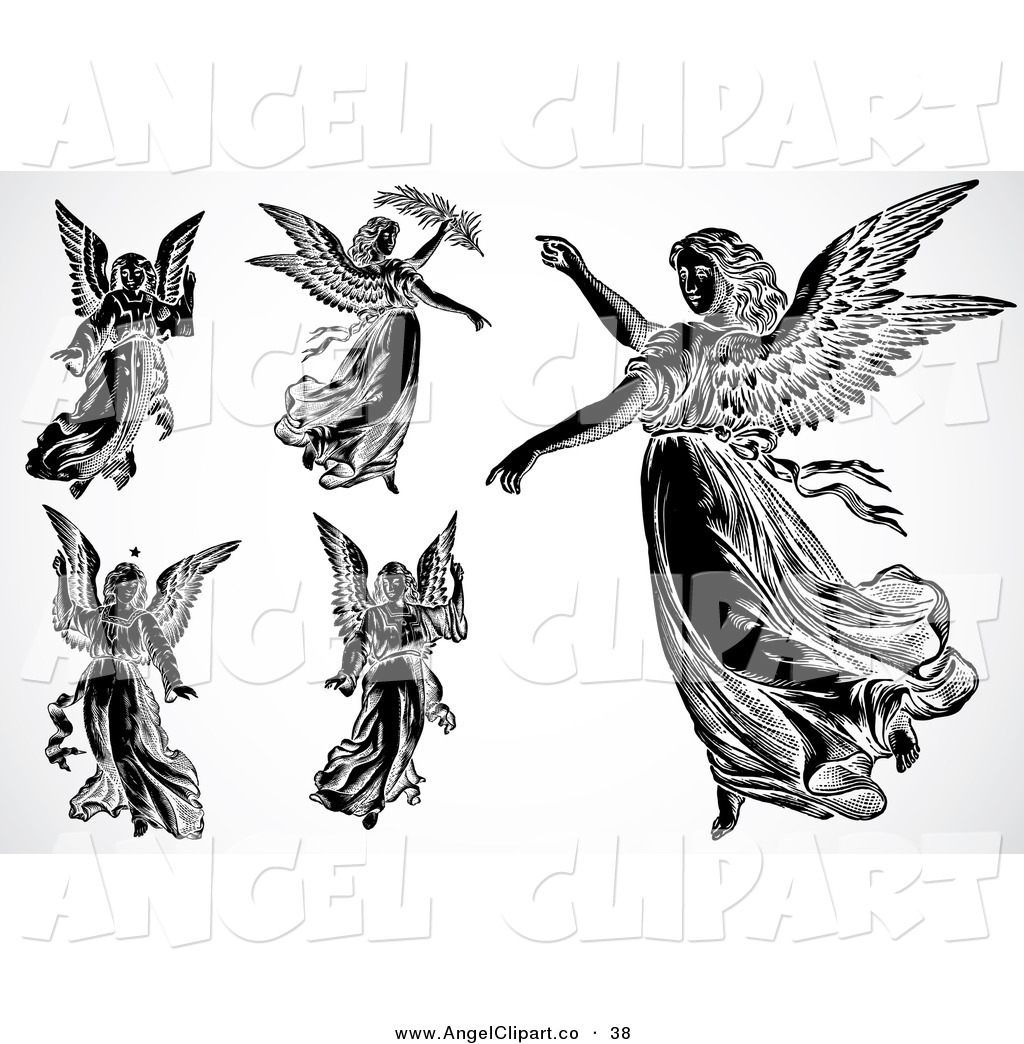 Of A Digital Set Of Flying Black And White Angels By Bestvector    38