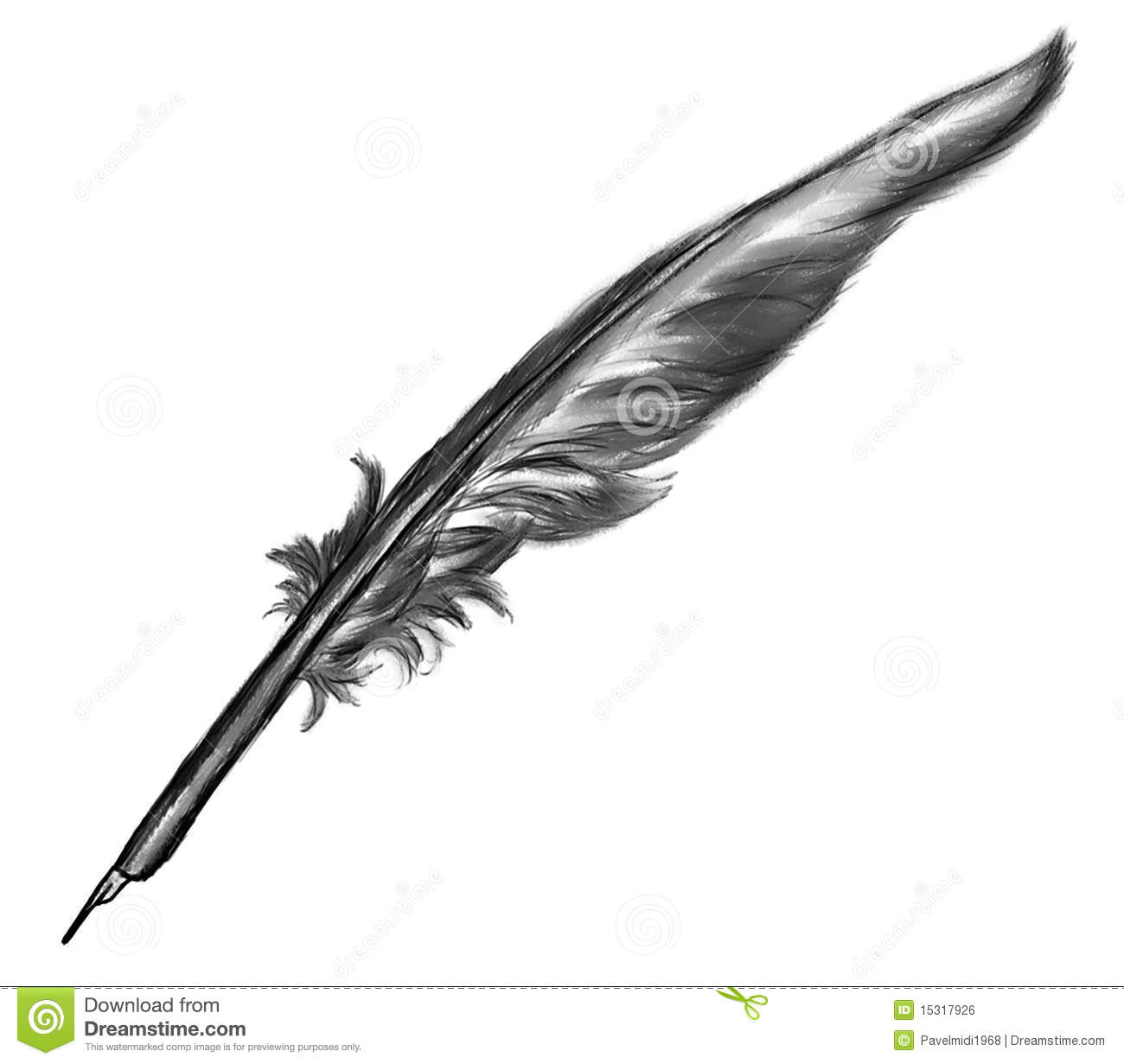 Quill Royalty Free Stock Image   Image  15317926