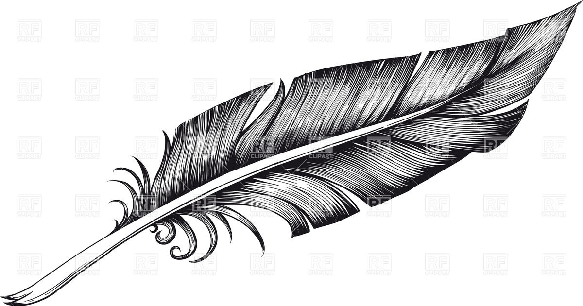Vintage Black And White Quill Pen  Feather  38700 Objects Download