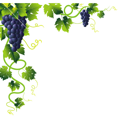 15 Grape Vine Clip Art Free Free Cliparts That You Can Download To You    