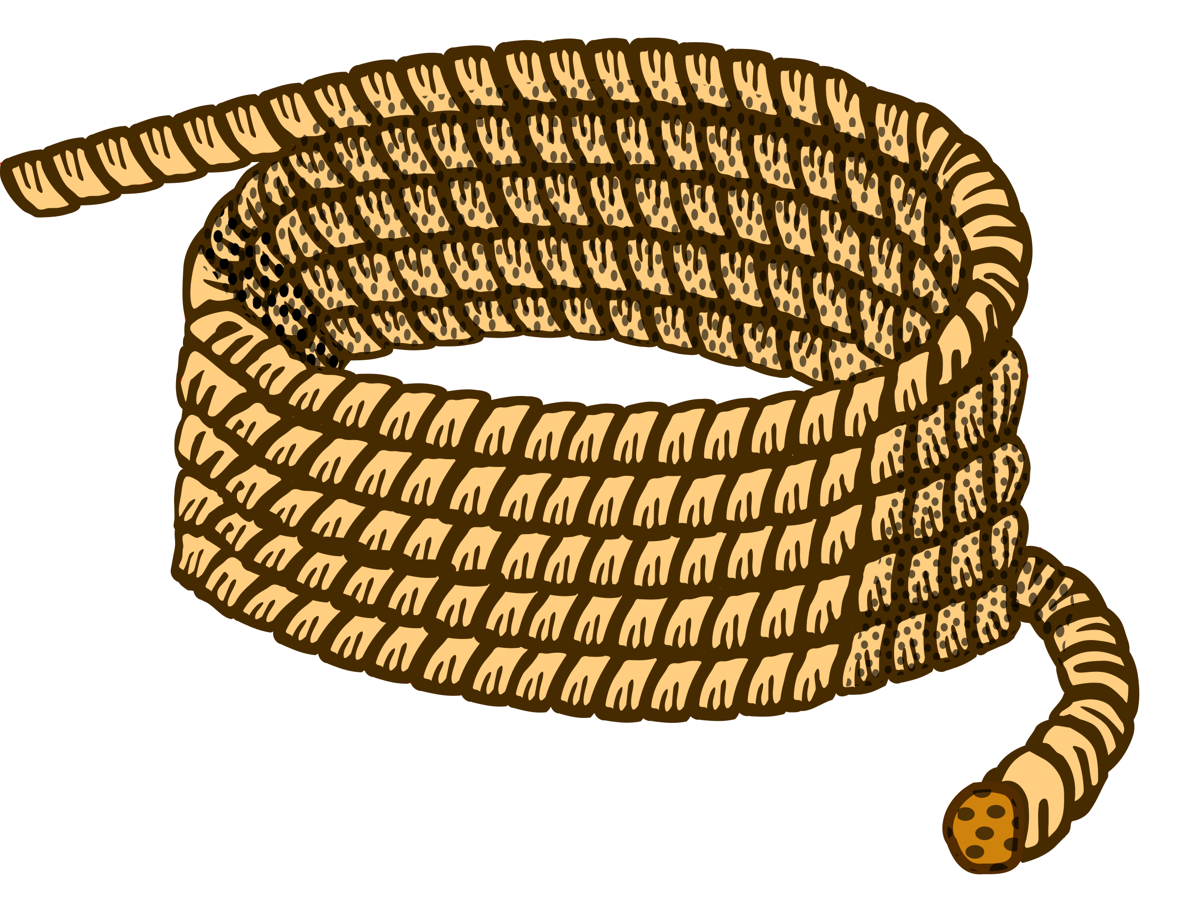 Clipart   Rope   Coloured