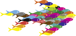 Colorful Fish Fractal