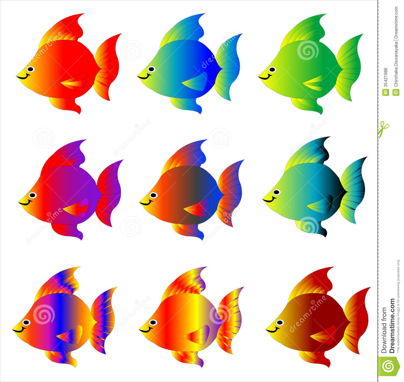 Colorful Fish Royalty Free Stock Photos   Image  35421988