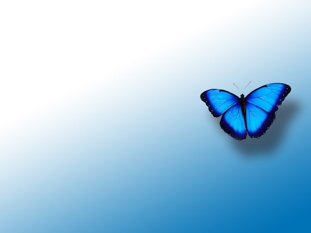 Download Wallpaper  Blue Butterfly On Background Download Photo