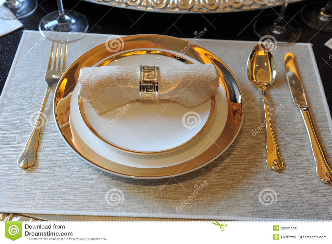 Elegant Dinner Stock Photo   Image  22635330