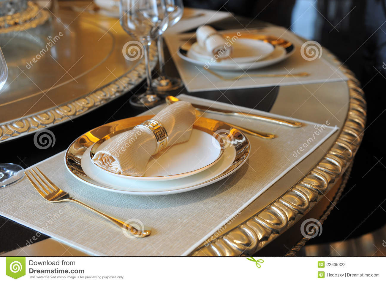 Elegant Dinner Stock Photography   Image  22635322