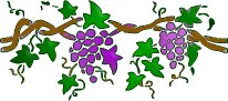 Free Grapevine Clipart   Free Clipart Graphics Images And Photos    