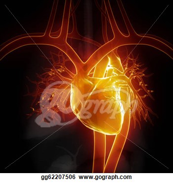 Illustration   Glowing Heart With Internal Organs  Clipart Gg62207506