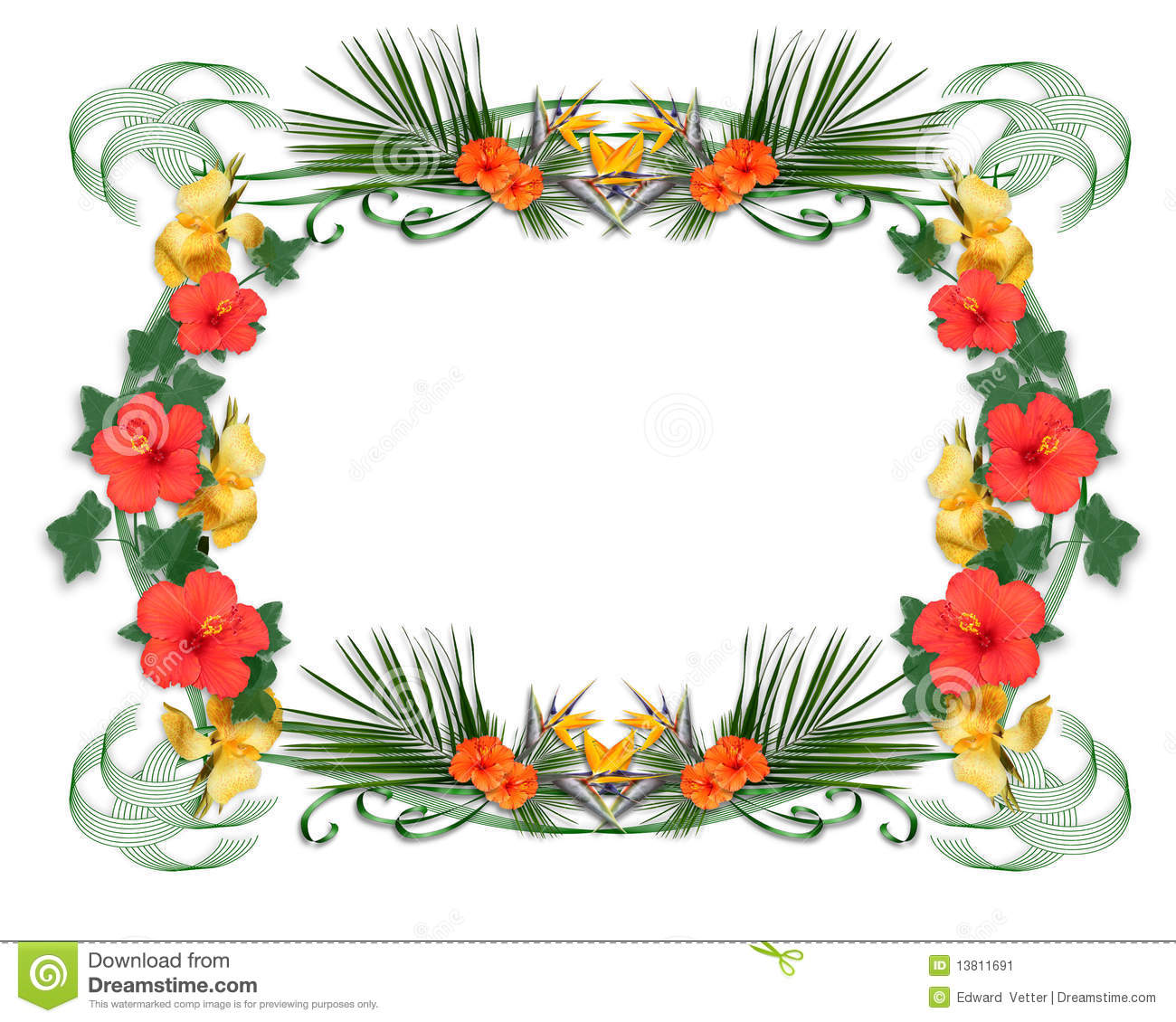 Image And Illustration Composition Tropical Flowers Border With
