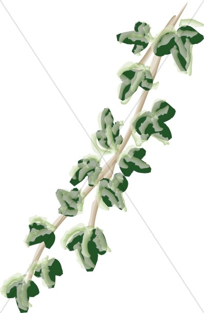 Seed Growth Christian Clipart   Nature Clipart