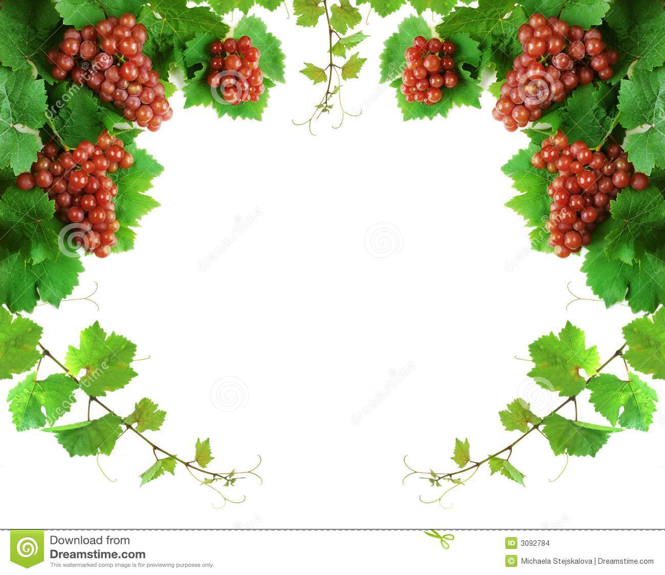 Wine Grape Clusters With Leaves And Sprouts  Isolated On White