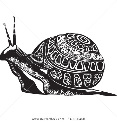     Animal   Snail   In Black And White Color   143036458   Shutterstock