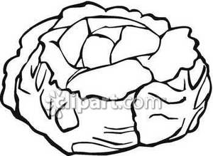 Cabbage Clipart Black And White Cabbage Royalty Free Clipart Picture