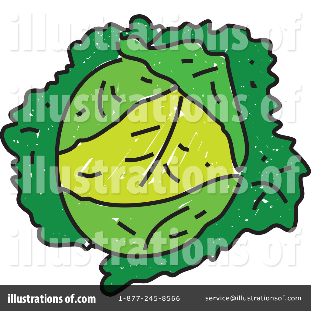 Cabbage Clipart Black And White Royalty Free  Rf  Cabbage