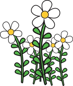     Clip Art Images Daisies Stock Photos   Clipart Daisies Pictures