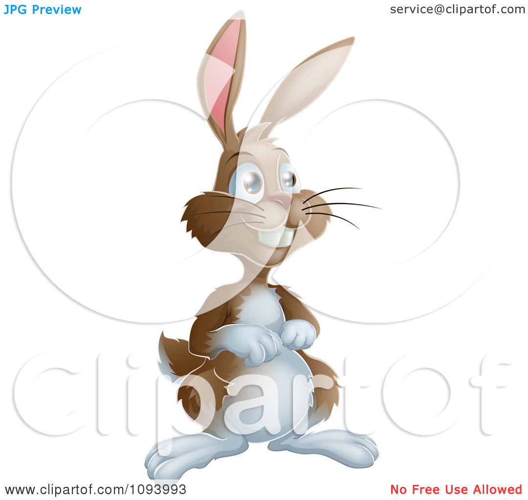Clipart Grinning Brown And White Easter Bunny   Royalty Free Vector
