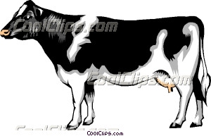 Dairy Cow Dairy Cow