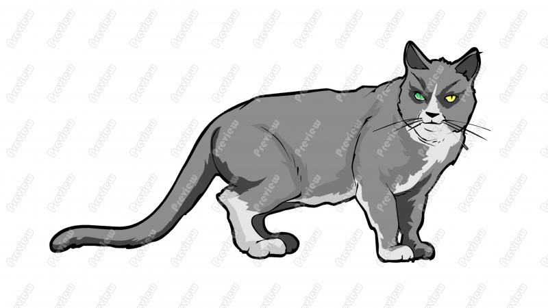 Domestic Cat Character Clip Art   Royalty Free Clipart   Vector    