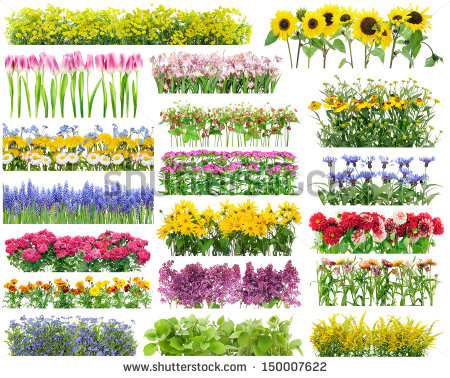 Flower Garden Borders Clipart Summer Flowers Bed And Floral