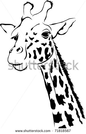 Giraffe Vector Stock Photos Illustrations And Vector Art