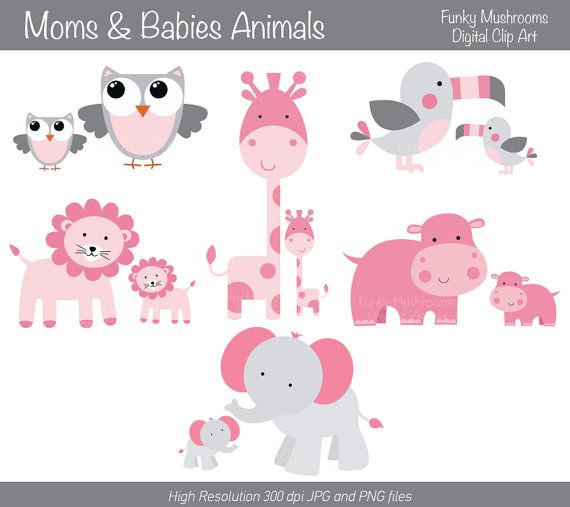 More Like This  Baby Animals  Animals And Baby