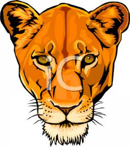 Realistic Lioness Face   Royalty Free Clipart Picture