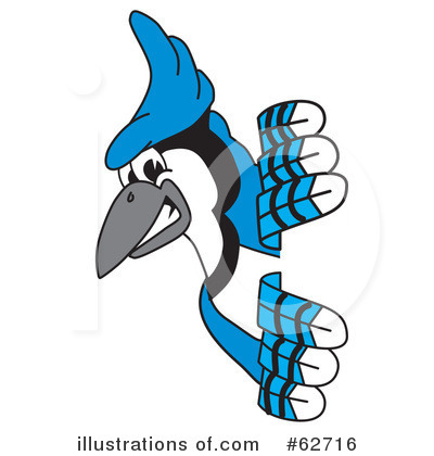 Blue Jay Mascot Clipart  62716 By Toons4biz   Royalty Free  Rf  Stock