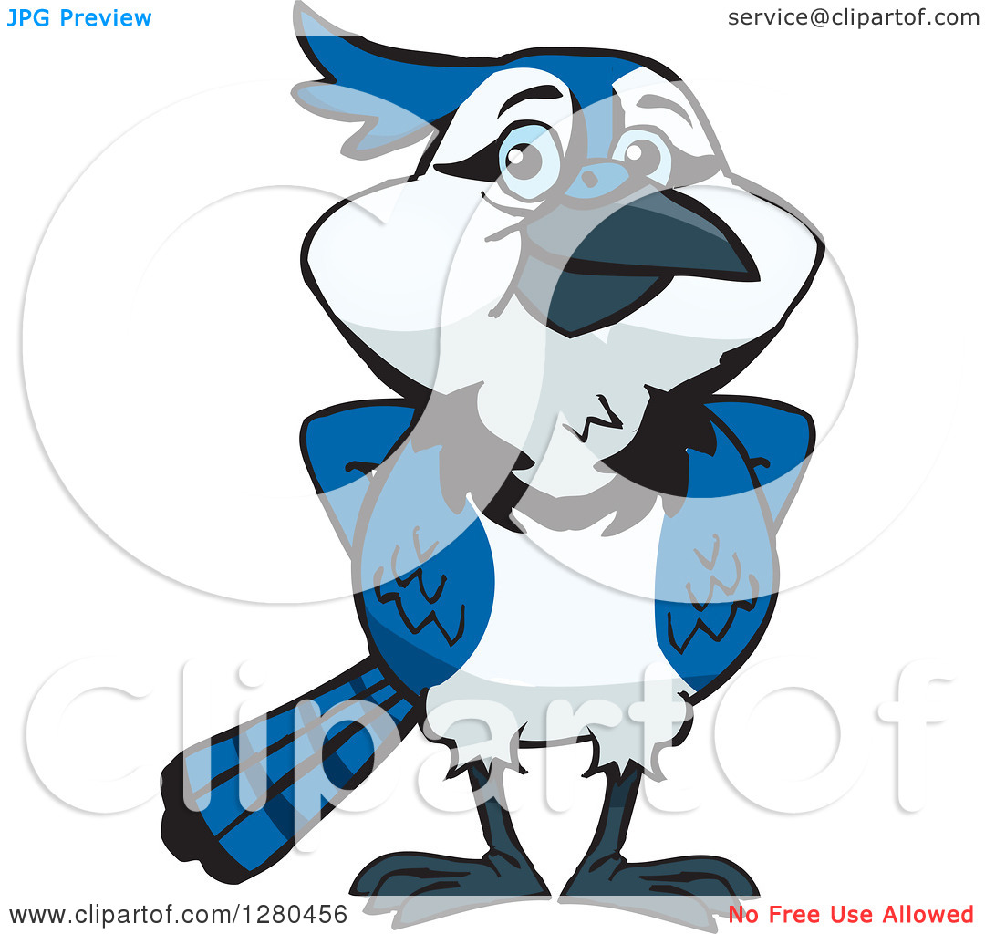 Clipart Of A Blue Jay Bird Standing   Royalty Free Vector Illustration