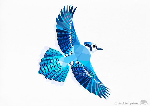 Flying Blue Jay 3 Blue Jay Vliegende Vogel Geometrische Druk    