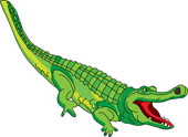 Free Alligator Clipart   Clip Art Pictures   Graphics   Illustrations