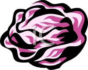 Head Of Purple Cabbage Clipart Image