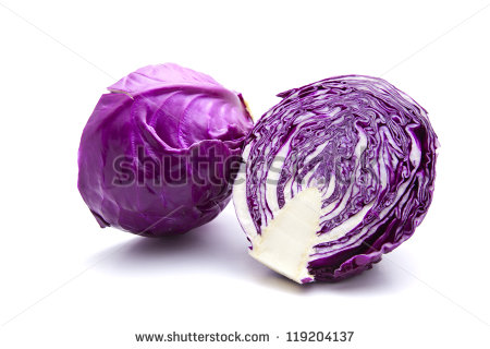 Purple Cabbage Clipart Purple Cabbage   Stock Photo