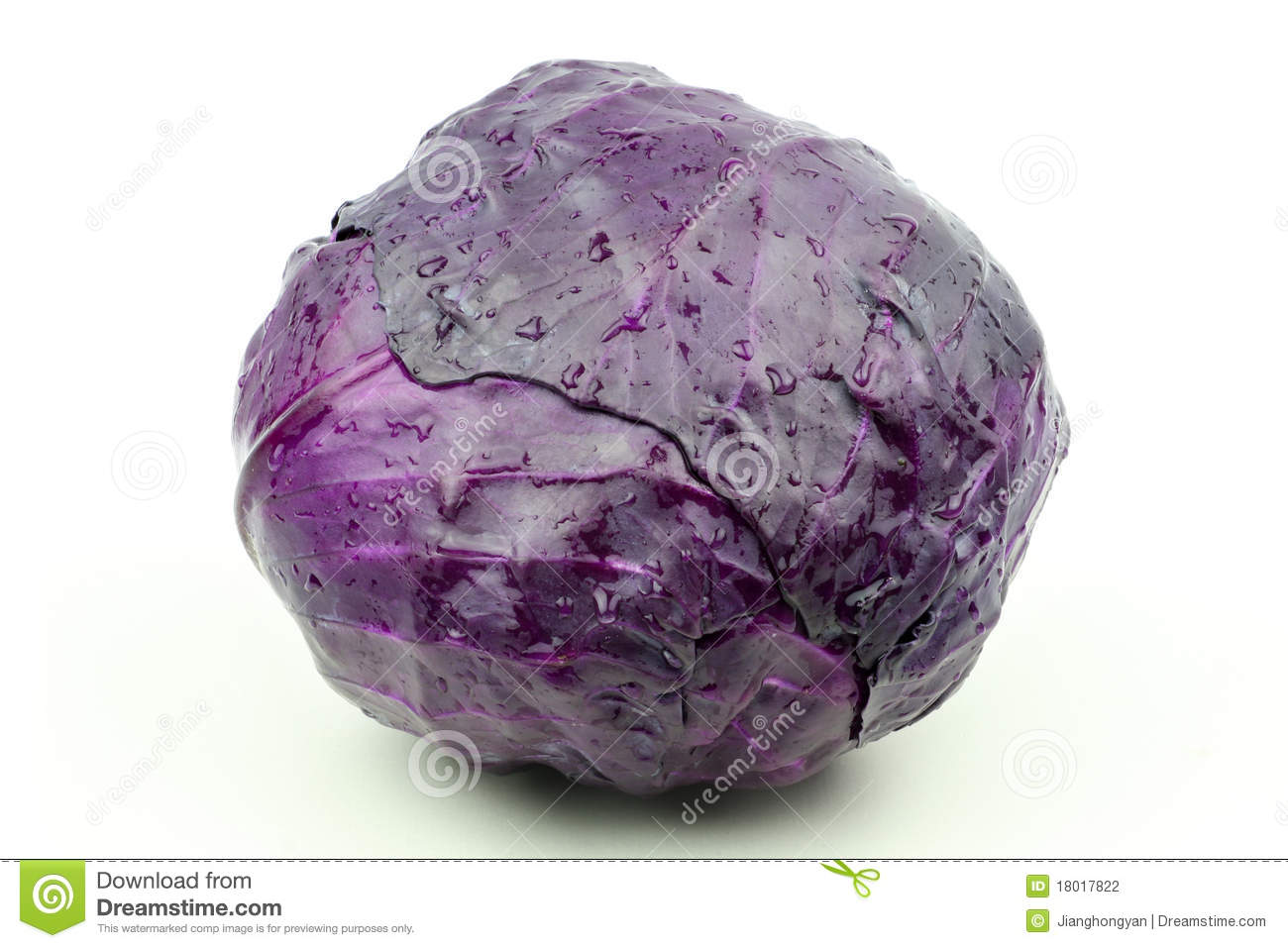 Purple Cabbage Whole Over A White Background 