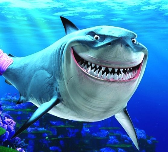 Bruce The Friendly Shark In Finding Nemo