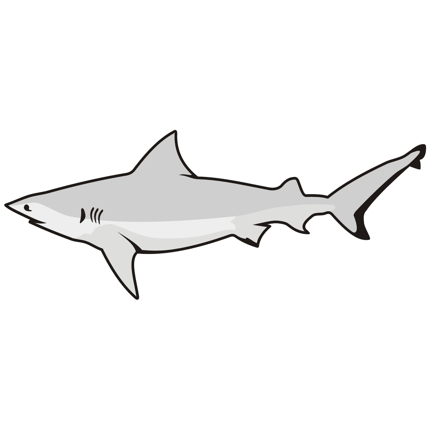Cartoon Great White Shark Clip Art