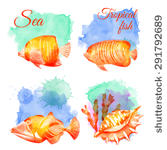 Exotic Fish Clip Art Vector Exotic Fish   453 Graphics   Clipart Me