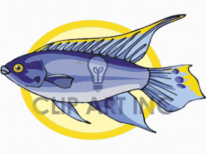 Fish Animals Tropical Exotic Fish111 Gif Clip Art Animals Fish