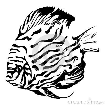 Fish Black And White Clipart   Clipart Panda   Free Clipart Images