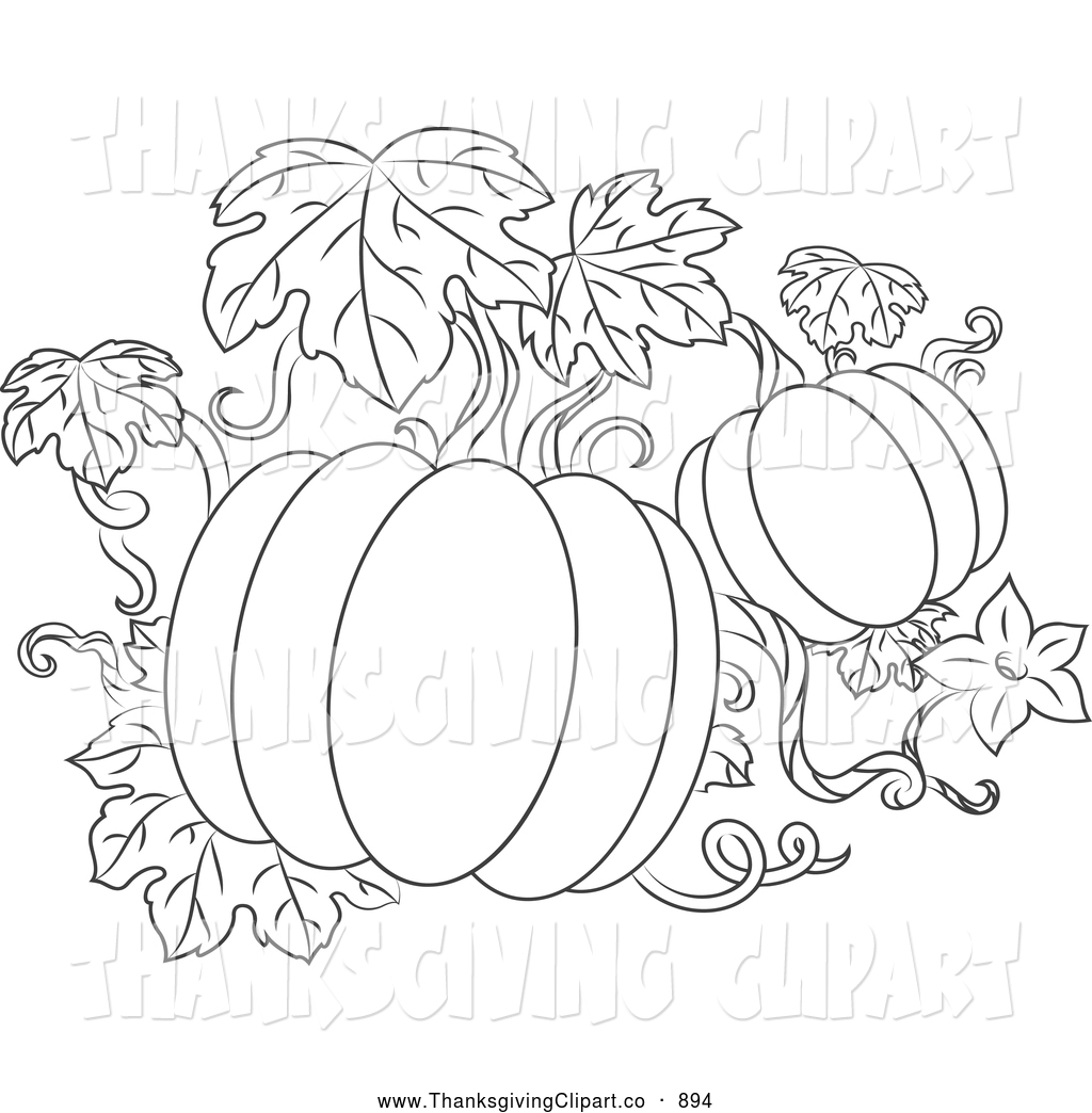 Pumpkin Vine Clipart Black And White Thanksgiving Clipart   New
