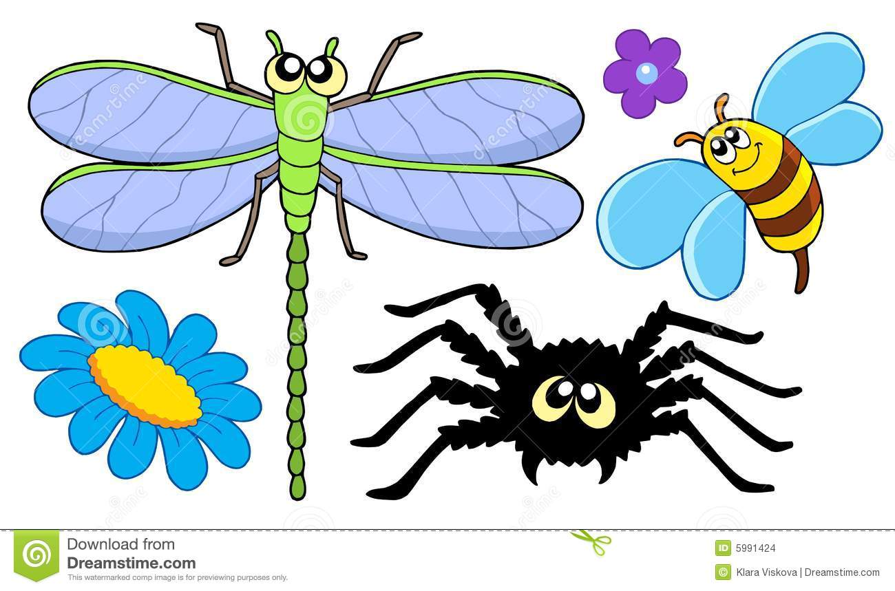 Cute Insect Collection Stock Images   Image  5991424