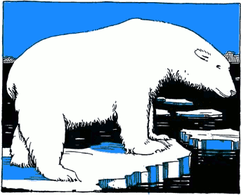   Endangered Bear Polar Bear Polar Bear Hunting  Polar Bear On Ice    