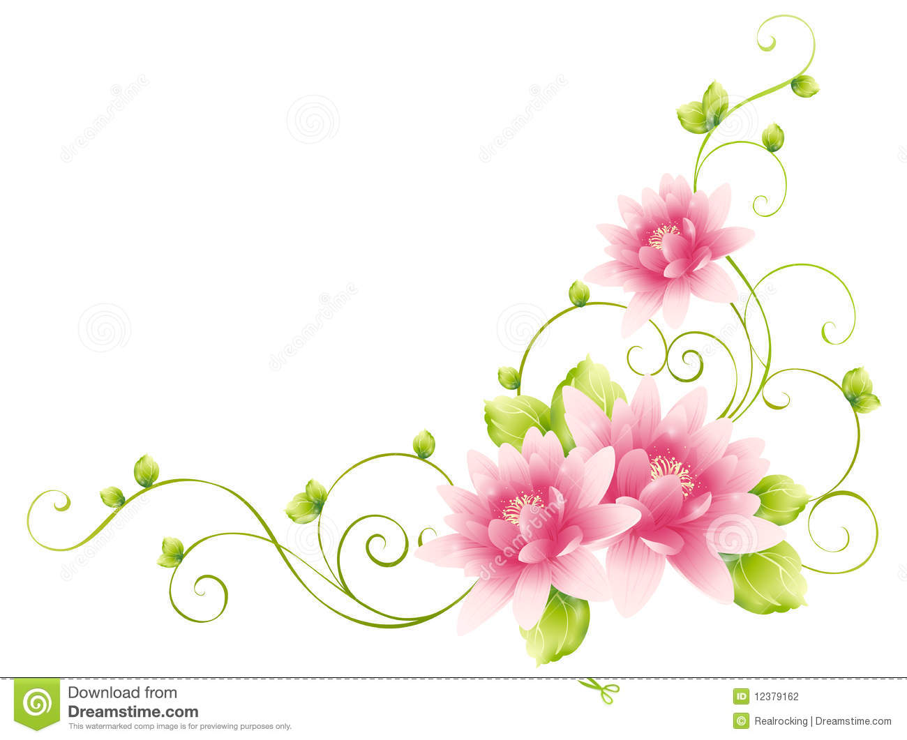 Stock Photography  Flower And Vines  Image  12379162