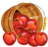 Bushel Of Apples Clipart