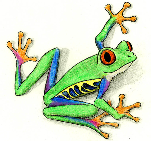 Cartoon Tree Frog   Clipart Best