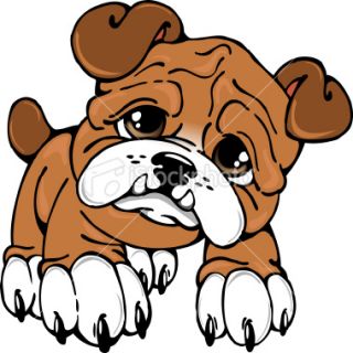 Cute Bulldog Free Cliparts All Used For Free