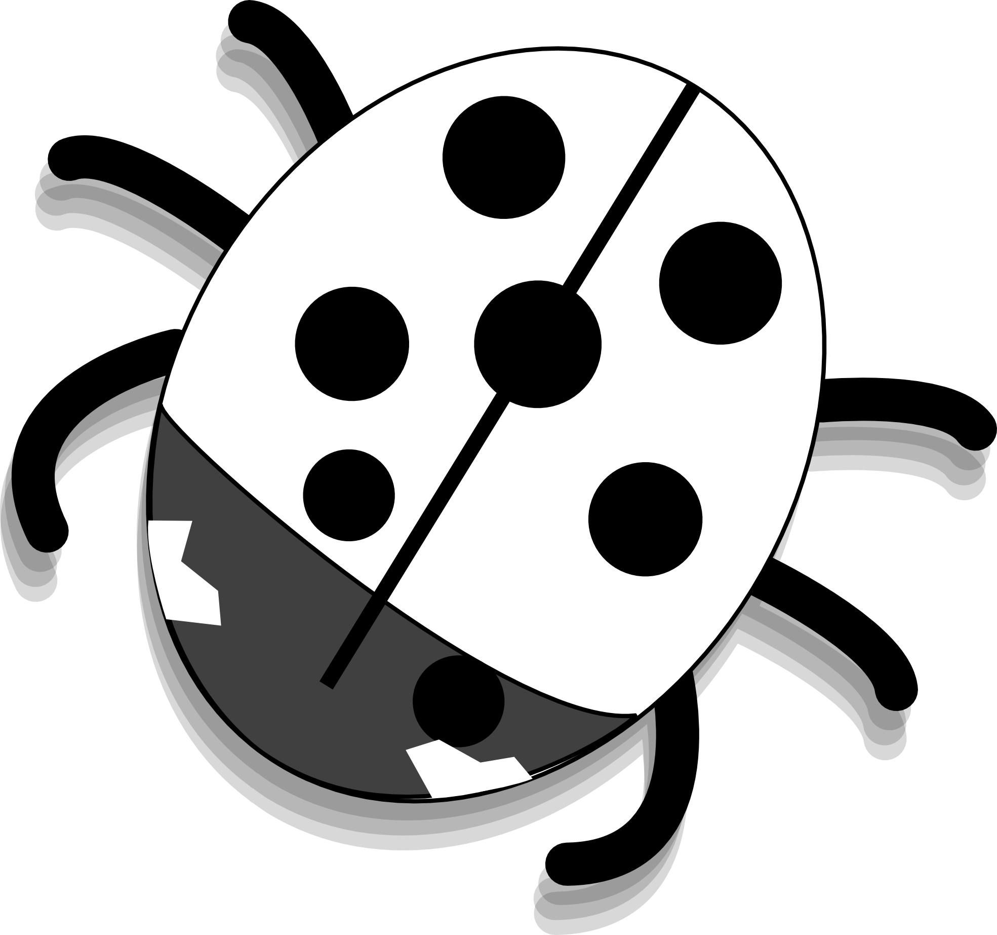 Ladybug 19 Black White Line Art Flower Scalable Vector Graphics Svg    