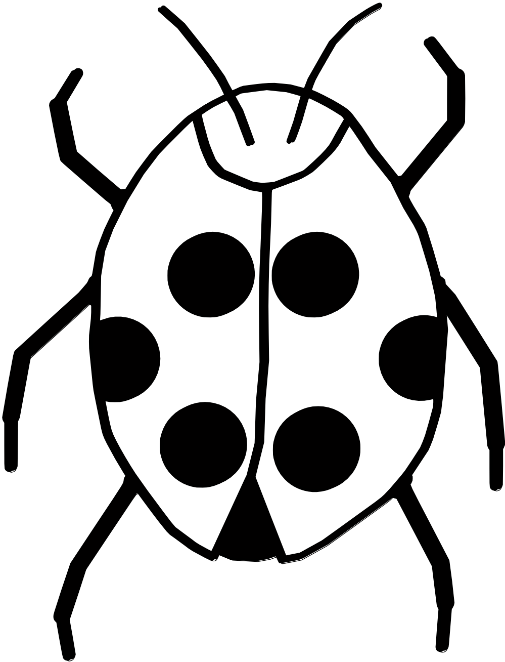 Ladybug Clipart Black And White   Clipart Panda   Free Clipart Images